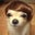 Hurl Westfall Jr.'s profile image
