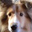 Karen Welch's profile image