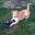Callie Rutherford's profile image