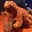 Joe Froogger's profile image
