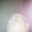 Leo Elizondo's profile image