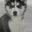 Jane Haven's profile image