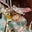 Jennifer Attock's profile image