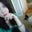 Leigh Wilson's profile image