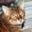 Jacqueline Roberge's profile image
