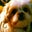 Juliana S.'s profile image