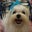 Butter Cheese's profile image