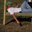 Jamison Cooper's profile image