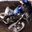 Fox Ryder's profile image
