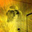 John Pearce's profile image