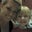 Martine S.'s profile image