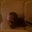 Andre Taylor's profile image