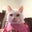 Liz L's profile image