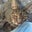 John Latsha's profile image
