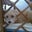 Dawn Kwietniewski's profile image