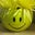 June Albergo's profile image