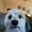 Hugo Loffelmacher's profile image