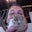 Jesse Wilmoth's profile image