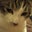 Beni De La Cruz's profile image