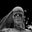 Toshe Ó Broin's profile image