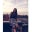 Peyton Clark's profile image