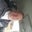 PAUL BROWN's profile image