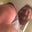 Eric Younger's profile image
