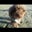 Barbara Rafter's profile image