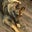 Jessica Shultzaberger's profile image