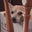madge manzke's profile image