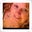 Melissa Honeybee's profile image
