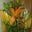 Hetal Shah's profile image