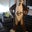 Relic B Furry's profile image