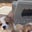 Boo Bear's profile image
