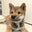 Emi Suzuki's profile image