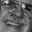 WILLIAM SANDERS's profile image