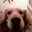 Amy's profile image