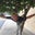 Brenae Bergeron's profile image