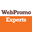 Академия Интернет-маркетинга WebPromoExperts