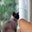 Allison Petty's profile image