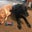 Ineko Gary's profile image