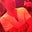 Erwan E.'s profile image