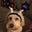 Melanie's profile image