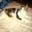 Kim Morris's profile image