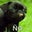 Jeff Darity's profile image