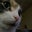 Bruce Wieland III's profile image