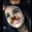 Tati Mendez's profile image