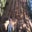 Patricia Rodriguez R-Suarez's profile image