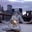 Stephanie Flowers's profile image