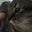 Kimberlea Emory's profile image